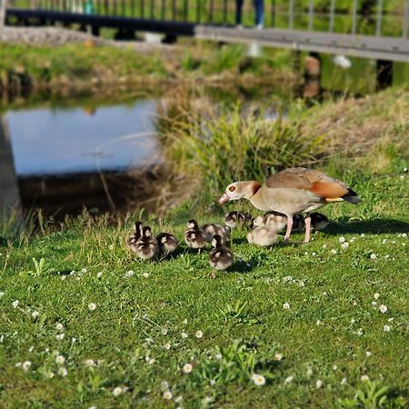 Hotel Am Kurpark باد فيمفين المظهر الخارجي الصورة